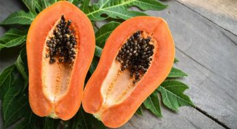 Papaya : బొప్పాయి పండ్ల‌ను తిన‌డం మ‌రిచారంటే.. ఈ లాభాల‌ను కోల్పోయిన‌ట్లే..!