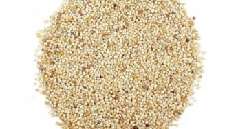 Poppy Seeds : గ‌స‌గ‌సాల‌ను ఎవ‌రూ వాడ‌డం లేదు.. వీటి అస‌లు ర‌హ‌స్యాలు తెలిస్తే.. ఎగిరి గంతేస్తారు..!