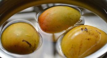 Soaking Mangoes : మామిడి పండ్ల‌ను తినేముందు నీటిలో నాన‌బెట్టాలి.. ఎందుకో తెలుసా..?