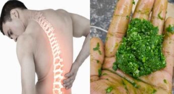 Back Pain : ఒక్క‌సారి ఈ ఆకు ప‌స‌రు రాస్తే.. న‌డుము నొప్పి అస‌లు రాదు..!