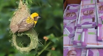 Bird Nest : ప‌క్షి గూడు క‌నిపిస్తే.. ఇలా చేయండి.. ఎంతో మేలు జ‌రుగుతుంది..!