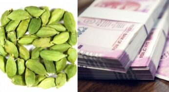 Cardamom : యాల‌కుల‌తో ఈ విధంగా చేస్తే.. ధ‌న‌లాభం క‌లిగి.. స‌మ‌స్య‌ల‌న్నీ పోతాయి..!