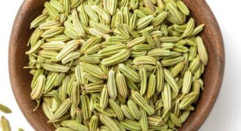 Fennel Seeds : సోంపు గింజ‌ల‌తో పుష్టిగా త‌యారు కావడం ఎలాగో తెలుసా..?