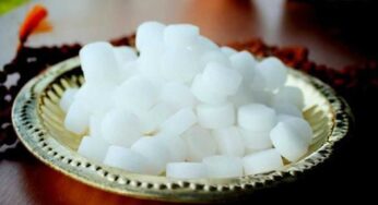 Camphor : కర్పూరంతో ఎన్ని లాభాలు క‌లుగుతాయో తెలుసా ? అస‌లు విడిచిపెట్ట‌రు..!