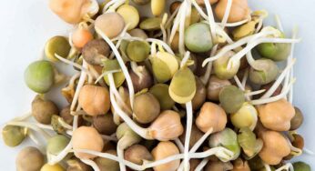 Chickpeas Sprouts : శ‌రీరంలోని కొలెస్ట్రాల్‌ను పూర్తిగా క‌రిగించే.. అద్భుత‌మైన ఆహారం ఇది..!