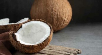 Coconut Offering : కొబ్బ‌రికాయను దేవుడి ముందు ఎందుకు కొట్టాలి ? అది కుళ్లిపోయి వ‌స్తే ఏం జ‌రుగుతుంది ?