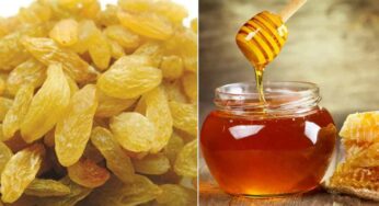 Dry Grapes With Honey : కిస్మిస్‌ల‌ను రాత్రంతా తేనెలో నాన‌బెట్టి.. ఉద‌యాన్నే తింటే.. ఏం జ‌రుగుతుందో తెలుసా..?