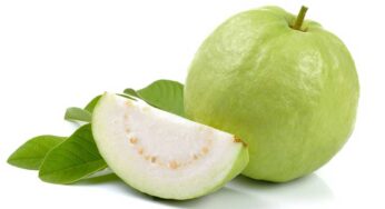 Guava : రోజూ రెండు జామ‌కాయ‌ల‌ను తింటే ఏం జ‌రుగుతుందో తెలుసా ?
