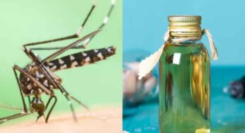 Mosquito Repellent : ఈ స‌హ‌జ‌సిద్ధ‌మైన చిట్కాల‌ను పాటిస్తే.. ఒక్క దోమ కూడా ఇంట్లో ఉండ‌దు..!