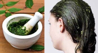 Neem Leaves : వేప ఆకుల‌ను మెత్త‌గా నూరి జుట్టుకు ప‌ట్టిస్తే.. ఏం జ‌రుగుతుందో తెలుసా..?