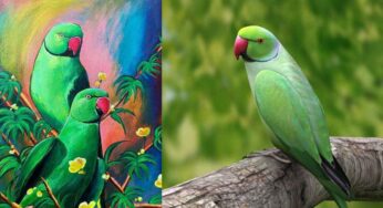 Parrots : రామ‌చిలుక‌ల ఫొటోల‌ను ఇంట్లో ఈ దిక్కున పెట్టండి.. ఊహించ‌ని లాభాలు క‌లుగుతాయి..!