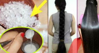 Shampoo Hair Pack : షాంపూలో ఇది ఒక్కటి కలిపి రాయండి.. మీ జుట్టు హీరోయిన్ లకు తీసిపోని విధంగా మారుతుంది..