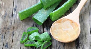 Aloe Vera : క‌ల‌బంద మంచిదే.. కానీ దీన్ని ఎవ‌రెవ‌రు తీసుకోవ‌ద్దో తెలుసా..?