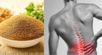 Backpain : ఈ పొడిని నెల రోజులు తీసుకుంటే.. ఎలాంటి కీళ్ల నొప్పులు, వెన్ను నొప్పులు అయినా స‌రే మాయం అవుతాయి..