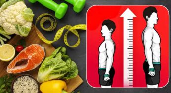 Height Increase Foods : ఎత్తు పెరిగేందుకు ఉప‌యోగ‌ప‌డే ఆహారాలు ఇవే.. వీటిని ఎవ‌రు తీసుకోవాలంటే..?