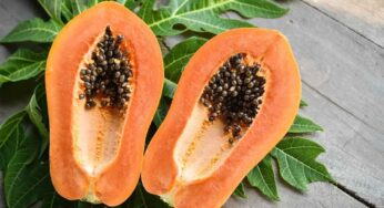 Papaya : బొప్పాయి పండ్ల‌లో దాగి ఉన్న ర‌హ‌స్యాలు ఇవే.. చదివితే న‌మ్మ‌లేరు..!