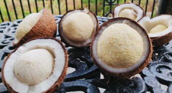 Coconut Flower : కొబ్బ‌రి పువ్వును ఎప్పుడైనా తిన్నారా.. దీన్ని తింటే ఎన్నో లాభాలు..!