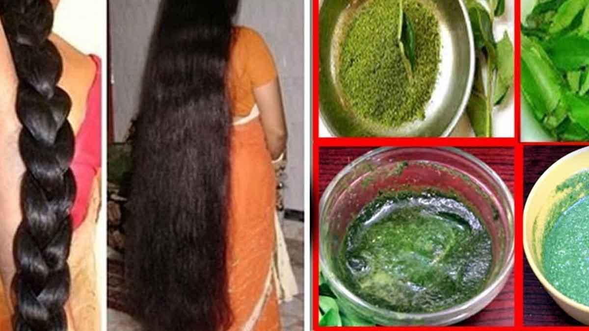 Curry Leaves : క‌రివేపాకుతో ఇలా చేస్తే.. జుట్టు మ‌ళ్లీ జ‌న్మ‌లో రాల‌దు..!