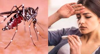 Dengue Symptoms : డెంగ్యూ జ్వ‌రం వ‌చ్చిన వారు ఈ ల‌క్ష‌ణాలు ఉన్నాయేమో చూడండి.. లేదంటే ప్రాణాల‌కే ప్ర‌మాదం..