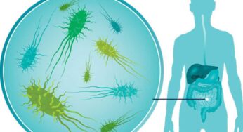 Germs : నులి పురుగుల స‌మ‌స్య‌కు అద్భుత‌మైన చిట్కాలు.. ఎవ‌రికైనా ప‌నిచేస్తాయి..