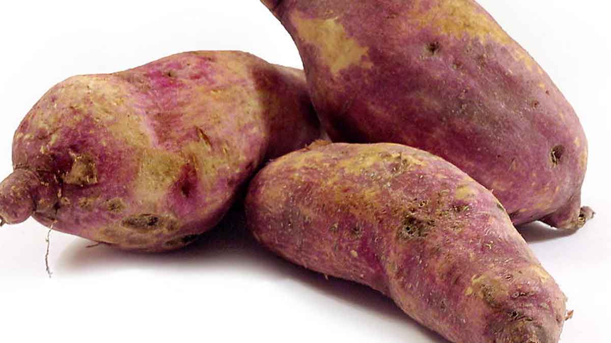 Sweet Potato : షుగర్ వ్యాధికి చక్కని ఔషధం ఇది.. కనిపిస్తే వదలొద్దు