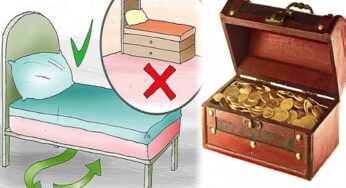 Treasure Box : మీరు నిద్రించే మంచం కింద ఈ పెట్టెను పెట్టండి.. డ‌బ్బే డ‌బ్బు..!