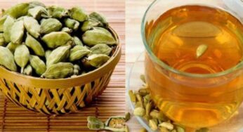 Cardamom Water Benefits : యాల‌కుల నీళ్ల‌ను ఉద‌యాన్నే తాగితే ఎన్ని లాభాలో తెలుసా..?