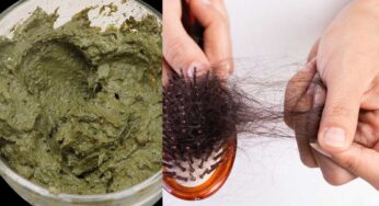 Hair Pack : వారానికి ఒక‌సారి ఇది రాస్తే.. అస‌లు జుట్టు రాల‌మ‌న్నా రాల‌దు..