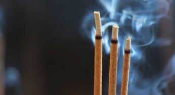 Incense Sticks : ఇంట్లో రోజూ అగ‌ర్ బ‌త్తీల‌ను వెలిగించ‌డం వ‌ల్ల ఇన్ని లాభాలా.. ఆరోగ్య‌ప‌రంగా..!