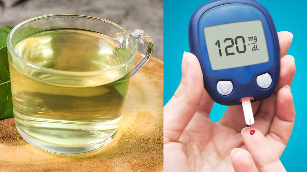 Mango Leaves Water ఈ ఆకుల నీటిని తాగితే షుగ‌ర్‌ పారిపోవాల్సిందే..!