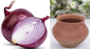 Onion And Clay Pot : ప‌చ్చి ఉల్లిపాయ‌.. మ‌ట్టి పాత్ర‌.. అంతే.. షుగ‌ర్ దెబ్బ‌కు అదుపులోకి వ‌స్తుంది..!