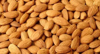 Almonds Benefits : బాదంప‌ప్పును రోజూ తింటున్నారా.. అయితే ముందు ఈ విష‌యాలు తెలుసుకోండి..!