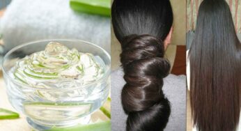 Aloe Vera Gel For Hair Growth : మీరు వాడే షాంపూలో ఇది క‌లిపి జుట్టుకు రాయండి.. ఊహించ‌లేనంత పొడ‌వు పెరుగుతుంది..