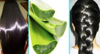 Aloe Vera For Long Hair : క‌ల‌బంద‌లో ఇది క‌లిపి రాస్తే.. కేవ‌లం 10 రోజుల్లోనే మీ జుట్టు పొడ‌వుగా, దృఢంగా పెరుగుతుంది..!