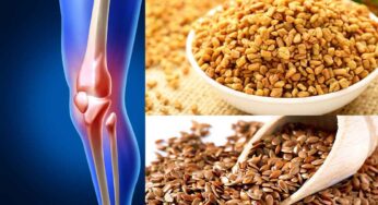 Bones Health Tips : వీటిని రోజూ తీసుకుంటే.. అరిగిపోయిన ఎముక‌లు సైతం ఉక్కులా మారుతాయి..