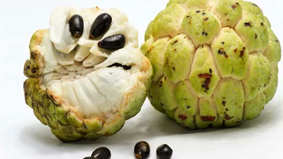 Custard Apple Side Effects Custard Apple Side Effects