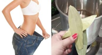 Fat Reducing Drink : రోజుకు 3 సార్లు దీన్ని తాగితే చాలు.. పొట్ట‌, న‌డుము, తొడ‌ల ద‌గ్గ‌ర ఉండే కొవ్వు క‌రుగుతుంది..