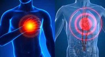 Gas Pain Vs Heart Pain : గుండె నొప్పికి, గ్యాస్ నొప్పికి మ‌ధ్య తేడాలివే.. ఏ నొప్పి అయిందీ ఇలా గుర్తించ‌వ‌చ్చు.. చాలా సుల‌భం..