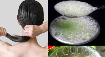 Hair Fall Remedy : దీన్ని రాస్తే జుట్టు రాల‌డం త‌గ్గుతుంది.. ఊడిపోయిన వెంట్రుక‌లు మళ్లీ వస్తాయి..