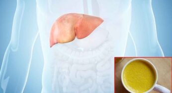 Liver Clean Tips : ఇదొక్క‌టి చాలు.. లివ‌ర్ మొత్తం శుభ్రంగా అయిపోతుంది..