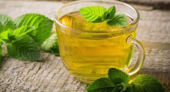 Mint Leaves Tea : ఈ సీజ‌న్ లో పుదీనా ఆకుల టీని రోజుకు రెండు సార్లు తాగాలి.. ఎందుకో తెలుసా..?