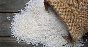 Rice Storage : ఈ చిట్కాల‌ను పాటిస్తే.. బియ్యం ఎక్కువ రోజుల పాటు పాడ‌వ‌కుండా నిల్వ ఉంటాయి..