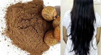 Soapberry Powder : దీన్ని రాస్తే చాలు.. జుట్టు రాల‌డం ఆగుతుంది.. పలుచ‌గా ఉన్న జుట్టు చిక్క‌గా మారుతుంది..