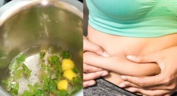 Waist Fat Drink : రోజూ ఒక గ్లాస్ తాగితే చాలు.. పొట్ట, న‌డుము చుట్టూ ఉండే కొవ్వు మంచులా క‌రిగిపోతుంది..