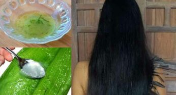 Aloe Vera And Coconut Oil : కేవ‌లం రెండే రెండు ప‌దార్థాల‌ను ఉప‌యోగించి.. జుట్టు రాల‌డాన్ని ఆప‌వ‌చ్చు.. జుట్టు వ‌ద్ద‌న్నా పెరుగుతుంది..