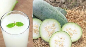 Ash Gourd Juice : బూడిద గుమ్మ‌డికాయ‌ల‌ను లైట్ తీసుకోకండి.. వీటి జ్యూస్‌ను రోజూ తాగితే ఏం జ‌రుగుతుందో తెలుసా..?