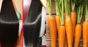 Carrots For Hair : క్యారెట్‌తో ఇలా చేస్తే.. మీ జుట్టు రాల‌దు.. వ‌ద్ద‌న్నా పెరుగుతూనే ఉంటుంది..