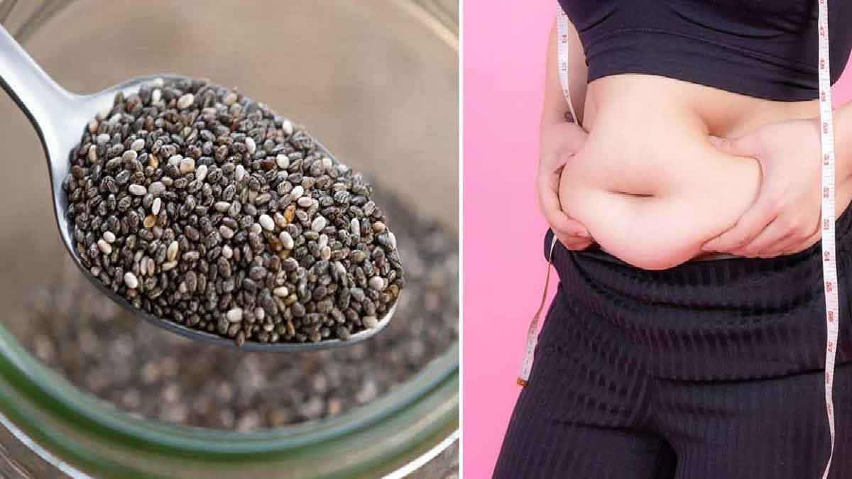 Chia Seeds For Weightloss వీటిని రోజూ ఒక టీస్పూన్ తింటే చాలు.. పొట్ట