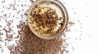Cumin Water : రోజూ రాత్రి నిద్రించే ముందు దీన్ని తాగండి.. షుగ‌ర్‌, కొలెస్ట్రాల్‌, జీర్ణ స‌మ‌స్య‌లు.. ఏవీ ఉండ‌వు..!