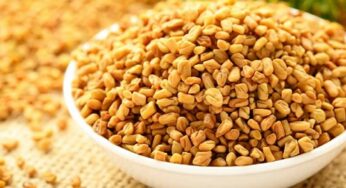 Fenugreek Seeds : షుగ‌ర్‌, కొలెస్ట్రాల్‌, జీర్ణ స‌మ‌స్య‌లు.. అన్నింటికీ చెక్ పెట్టాలంటే.. మెంతుల‌ను ఇలా తీసుకోవాలి..!